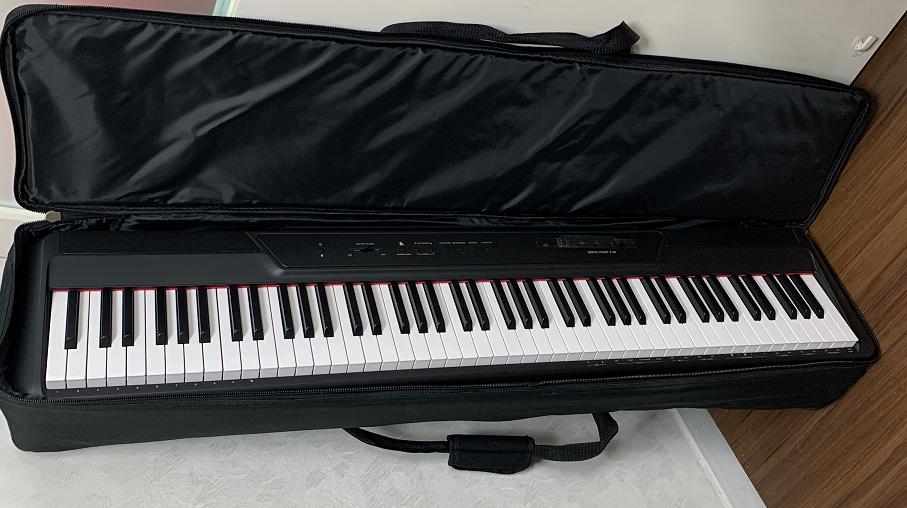88鍵 琴袋 適合 Alesis Prestige Artist P225 FP30X FP10 FLYKEYS P60