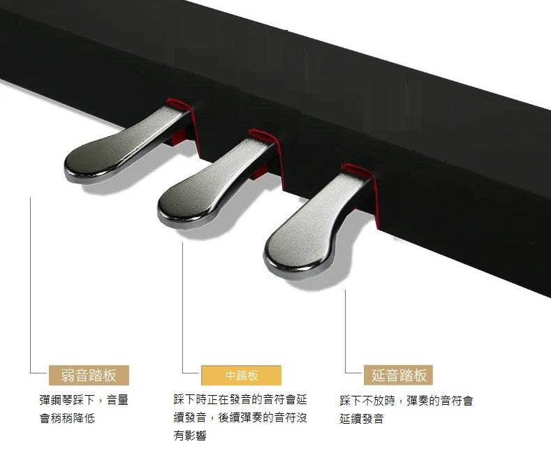 FLYKEYS FK100 義大利FATAR鍵盤 附升降琴椅