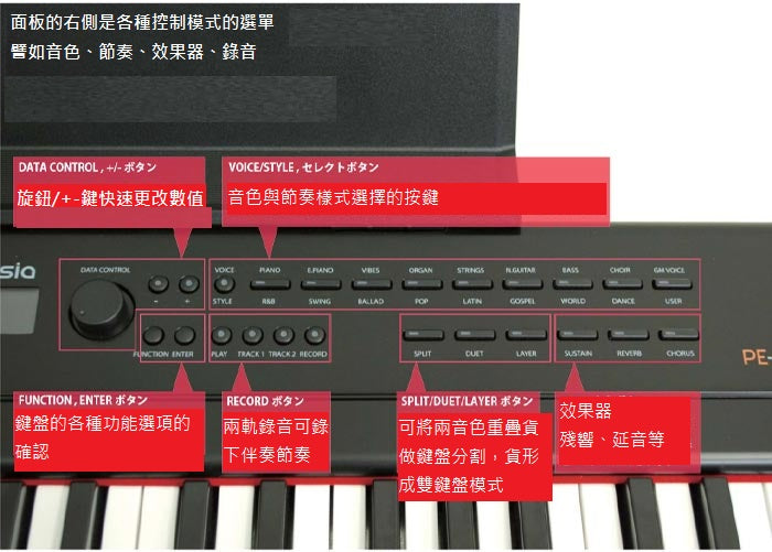 Artesia PE88 88鍵 伴奏電鋼琴 半重琴鍵